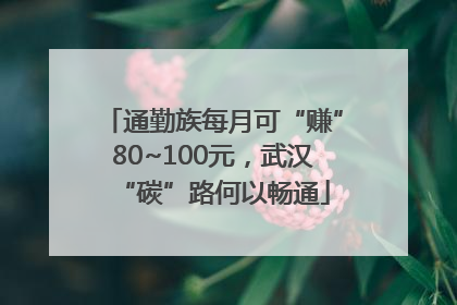 通勤族每月可“赚”80~100元，武汉“碳”路何以畅通