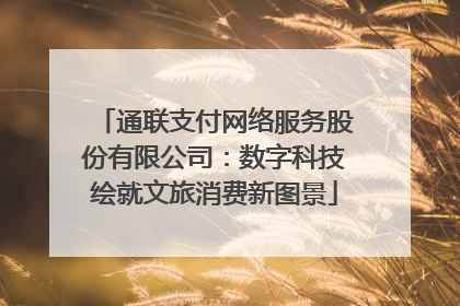 通联支付网络服务股份有限公司：数字科技绘就文旅消费新图景