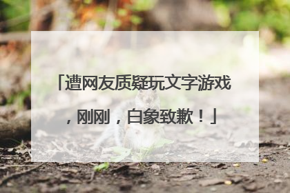 遭网友质疑玩文字游戏，刚刚，白象致歉！