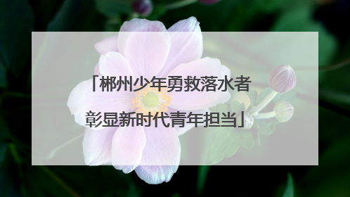 郴州少年勇救落水者 彰显新时代青年担当
