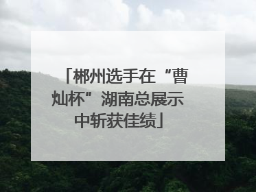 郴州选手在“曹灿杯”湖南总展示中斩获佳绩