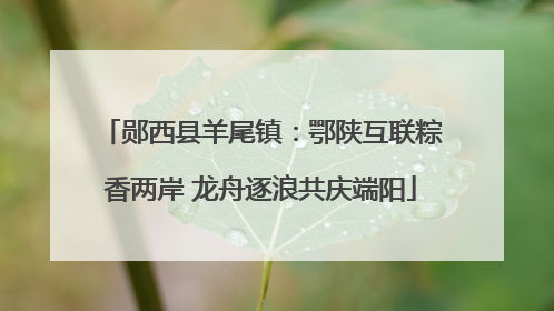 郧西县羊尾镇：鄂陕互联粽香两岸 龙舟逐浪共庆端阳