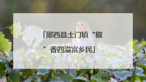 郧西县土门镇“椒”香四溢富乡民