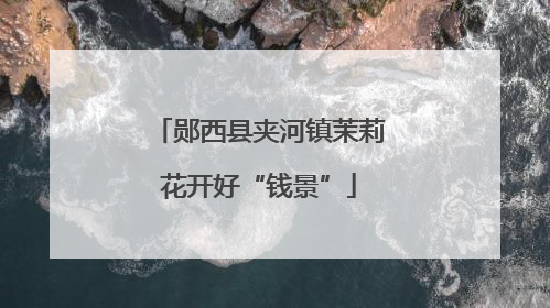 郧西县夹河镇茉莉花开好“钱景”