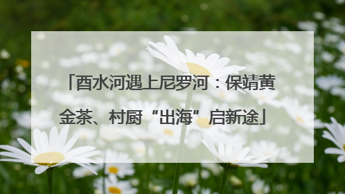 酉水河遇上尼罗河：保靖黄金茶、村厨“出海”启新途