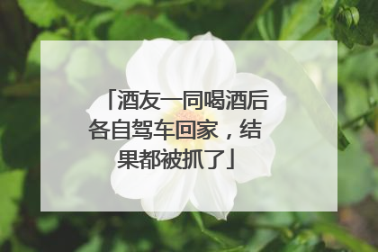 酒友一同喝酒后各自驾车回家，结果都被抓了