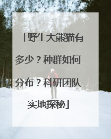 野生大熊猫有多少？种群如何分布？科研团队实地探秘