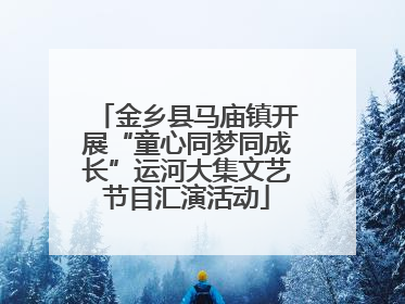 金乡县马庙镇开展“童心同梦同成长”运河大集文艺节目汇演活动