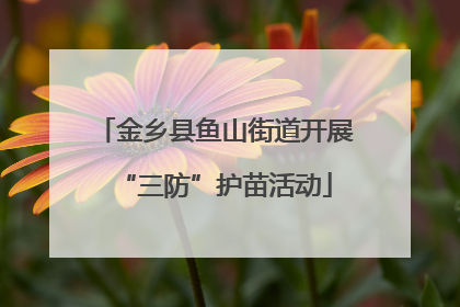 金乡县鱼山街道开展“三防”护苗活动
