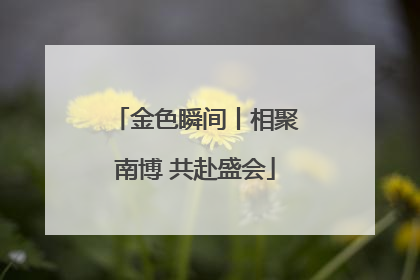 金色瞬间丨相聚南博 共赴盛会