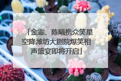 金霏、陈曦携众笑星空降潍坊大剧院爆笑相声盛宴即将开启