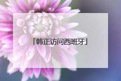 韩正访问西班牙