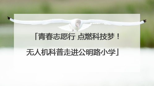 青春志愿行 点燃科技梦！无人机科普走进公明路小学