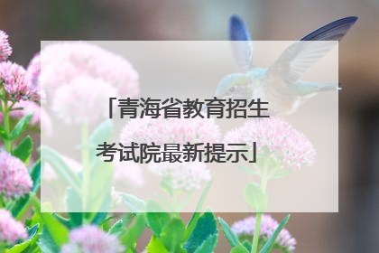 青海省教育招生考试院最新提示