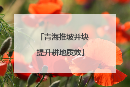 青海推坡并块提升耕地质效