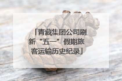 青藏集团公司刷新“五一”假期旅客运输历史纪录
