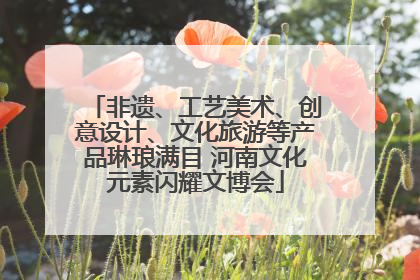 非遗、工艺美术、创意设计、文化旅游等产品琳琅满目 河南文化元素闪耀文博会