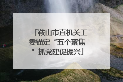 鞍山市直机关工委锚定“五个聚焦”抓党建促振兴