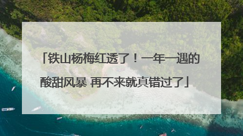铁山杨梅红透了！一年一遇的酸甜风暴 再不来就真错过了