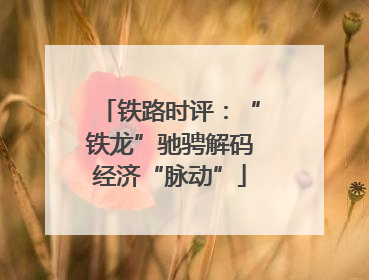 铁路时评：“铁龙”驰骋解码经济“脉动”