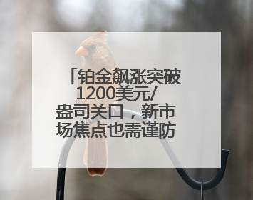 铂金飙涨突破1200美元/盎司关口，新市场焦点也需谨防回调风险