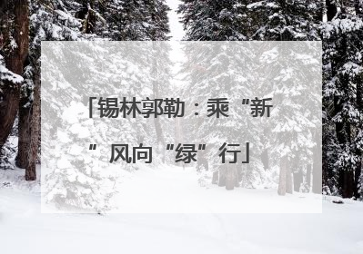 锡林郭勒：乘“新”风向“绿”行