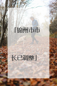锦州市市长已调整