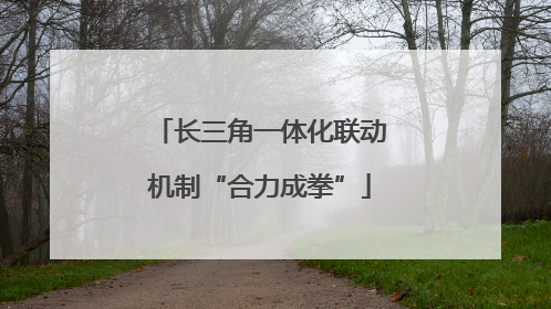 长三角一体化联动机制“合力成拳”