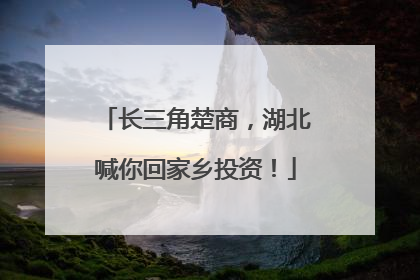长三角楚商，湖北喊你回家乡投资！