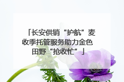 长安供销“护航”麦收季托管服务助力金色田野“抢收忙”