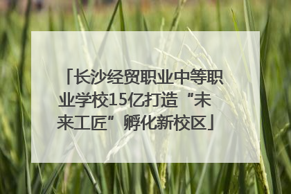 长沙经贸职业中等职业学校15亿打造“未来工匠”孵化新校区