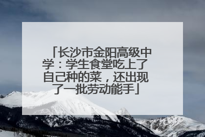 长沙市金阳高级中学：学生食堂吃上了自己种的菜，还出现了一批劳动能手