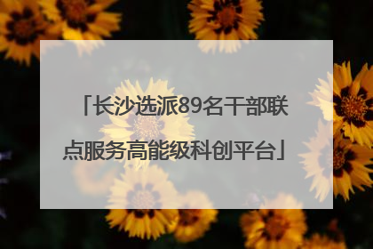 长沙选派89名干部联点服务高能级科创平台