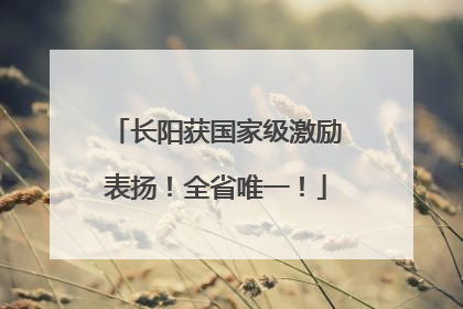 长阳获国家级激励表扬！全省唯一！
