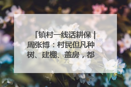 镇村一线话耕保｜周张博：村民但凡种树、建棚、盖房，都要向街道报批
