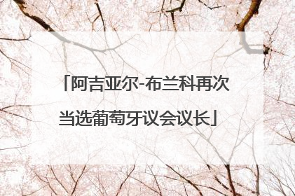 阿吉亚尔-布兰科再次当选葡萄牙议会议长