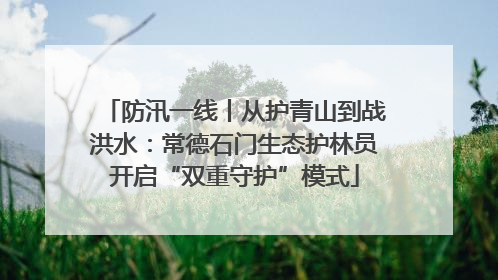 防汛一线丨从护青山到战洪水：常德石门生态护林员开启“双重守护”模式