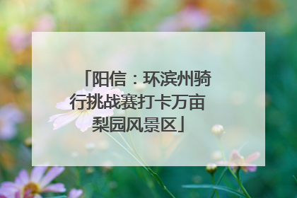 阳信：环滨州骑行挑战赛打卡万亩梨园风景区