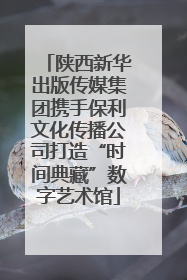 陕西新华出版传媒集团携手保利文化传播公司打造“时间典藏”数字艺术馆