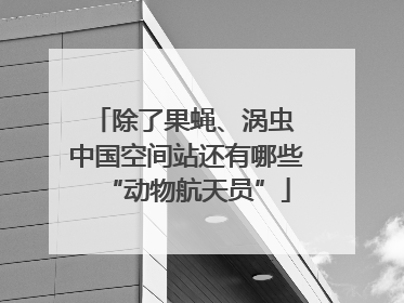 除了果蝇、涡虫 中国空间站还有哪些“动物航天员”