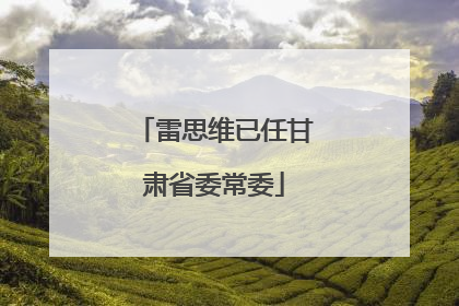 雷思维已任甘肃省委常委