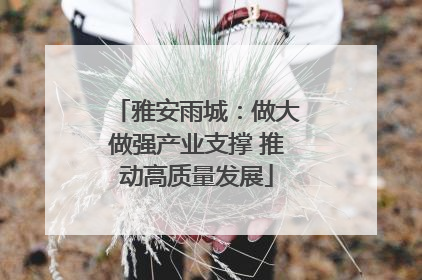 雅安雨城：做大做强产业支撑 推动高质量发展