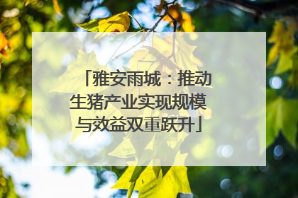 雅安雨城：推动生猪产业实现规模与效益双重跃升