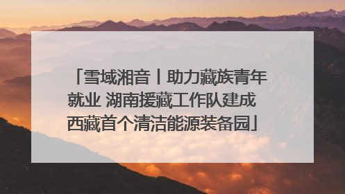 雪域湘音丨助力藏族青年就业 湖南援藏工作队建成西藏首个清洁能源装备园