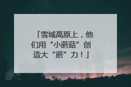 雪域高原上，他们用“小蘑菇”创造大“蘑”力！