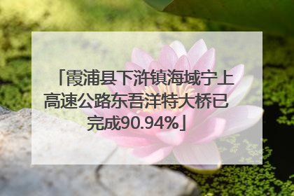 霞浦县下浒镇海域宁上高速公路东吾洋特大桥已完成90.94%