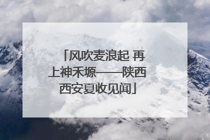 风吹麦浪起 再上神禾塬——陕西西安夏收见闻