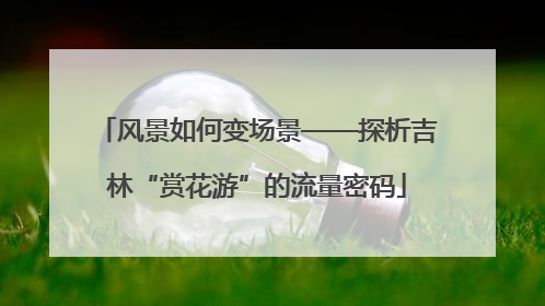 风景如何变场景——探析吉林“赏花游”的流量密码