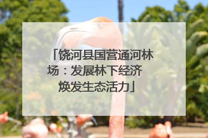 饶河县国营通河林场：发展林下经济 焕发生态活力