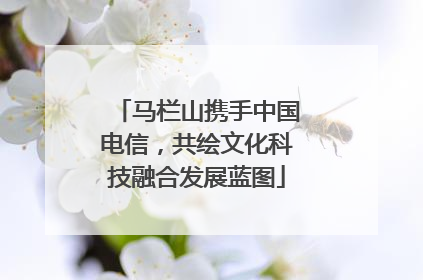 马栏山携手中国电信，共绘文化科技融合发展蓝图
